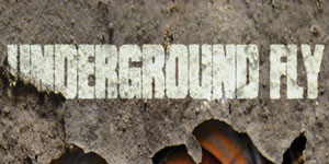 Underground Fly